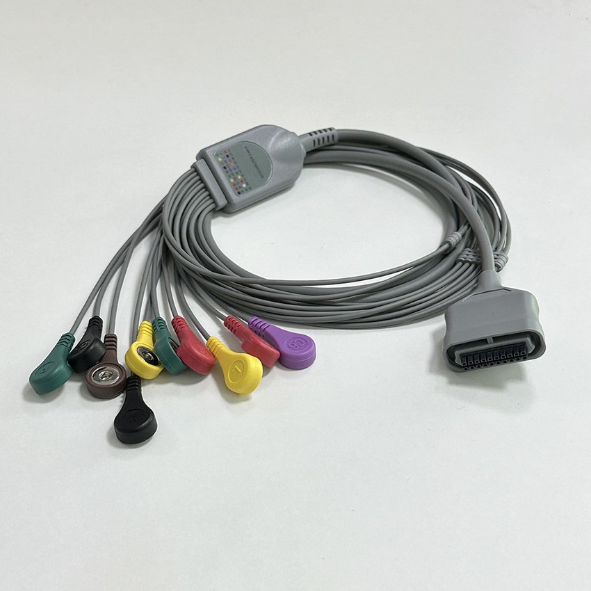 20241207135105 20241207135105